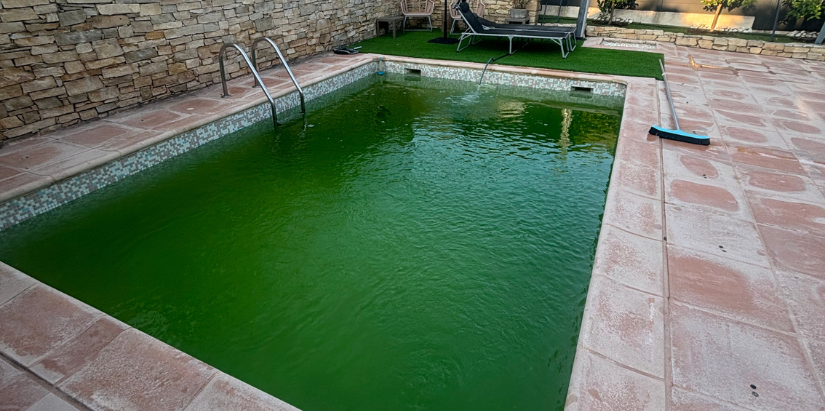 Piscine verte : causes et solutions pour rattraper une eau trouble