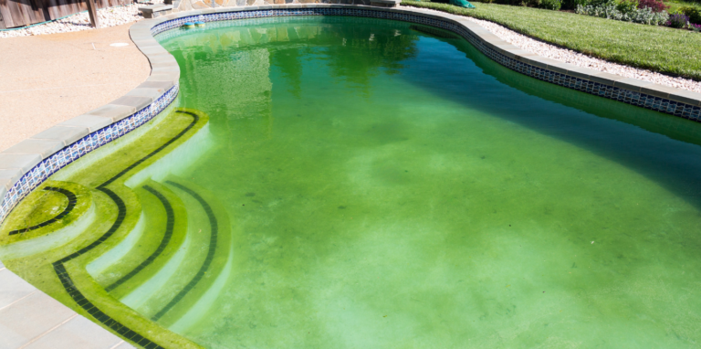 Eau verte piscine : causes et traitement rapide